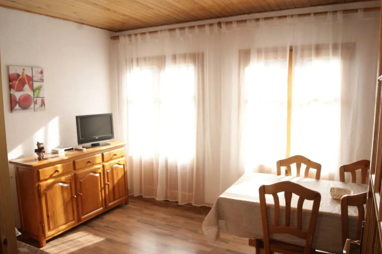 Apartaments Pont Romanic Espot Apartment